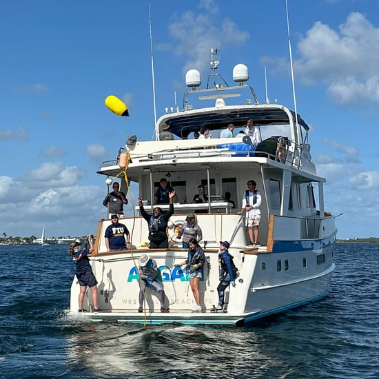 Coastal Ocean Explorers: Sharks expedition with students aboard R/V ANGARI