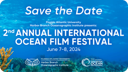 2024 International Ocean Film Festival logo