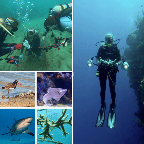 Photo collage representing Fall 2025 through Spring 2026 Ocean Expert Exchange live webinar events.