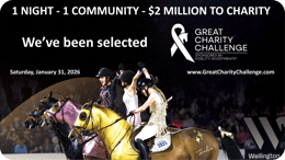 2026 Great Charity Challenge - logo