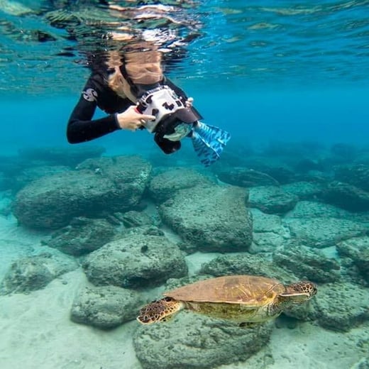Alexa Elliott filming underwater for Changing Seas marine science documentary series.