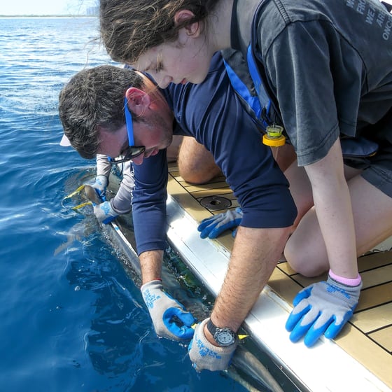 COEsharks_P1130725_Exp91_Credit Amanda Waite - ANGARI Foundation