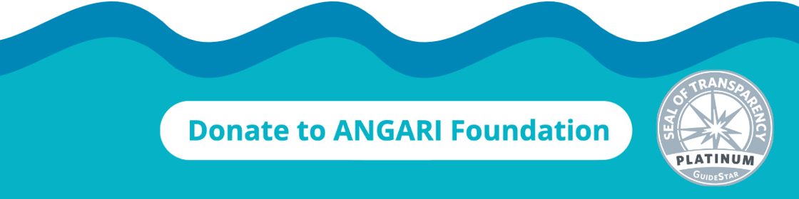 Donate to ANGARI Footer