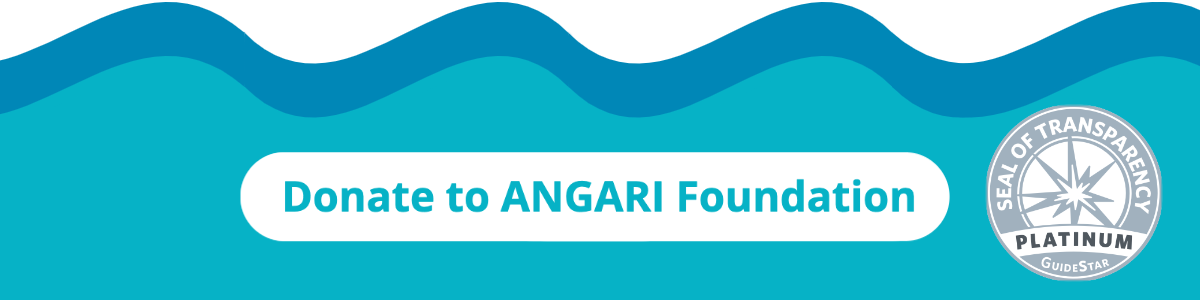 Donate to ANGARI Footer