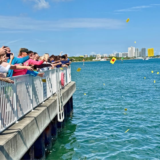 Lagoon Drift_Fall 2025