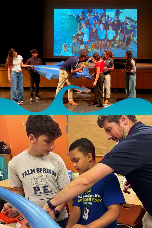 MM - QQ3 COE Photo (1)