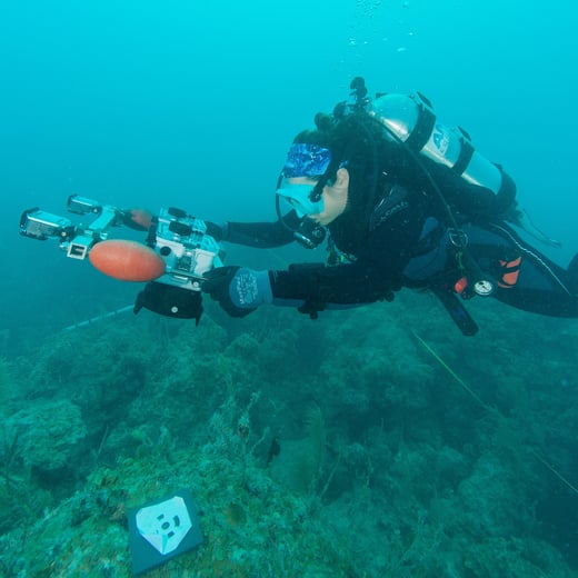 NOAA AOML scientist collects high resolution photos for a photogrammetry project.