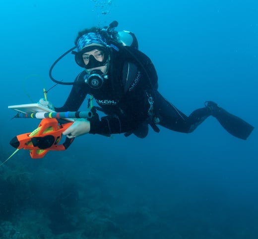NOAA diver in Dry Tortugas