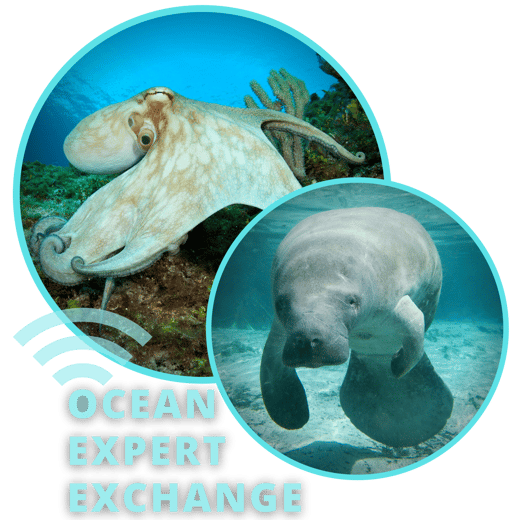 OceanExpertExchange_Fall2021