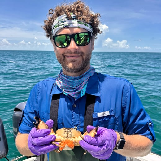 Dr. Philip Gravinese conducting stone crab research in the field.