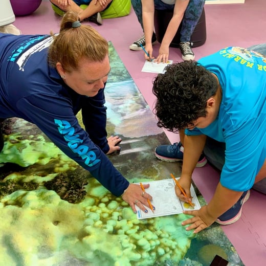 Sea Turtle Adventures Visit