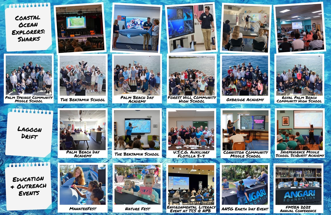Spring 2025 Splash Back photo collage