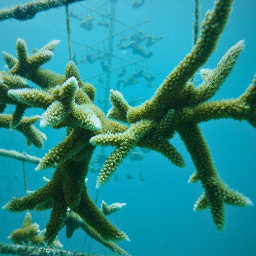 Untitled design (1)-4