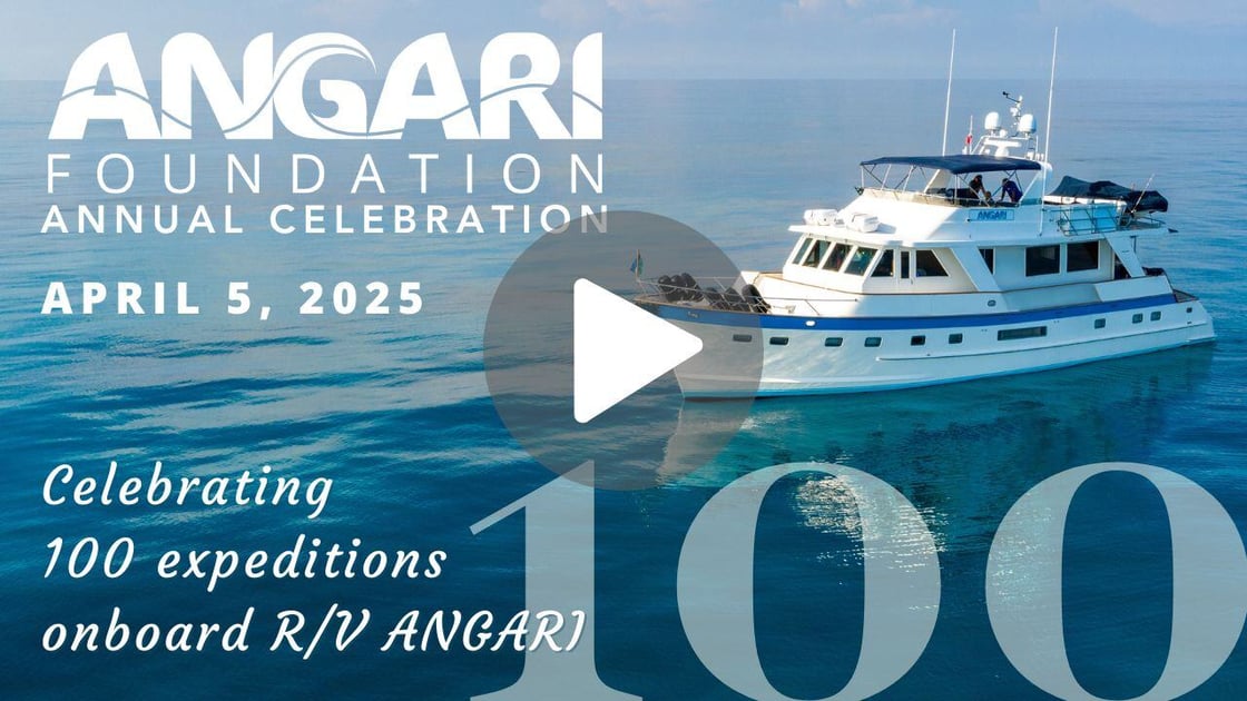 YouTube Thumbnail with Play Button for 2025 Annual Celebration
