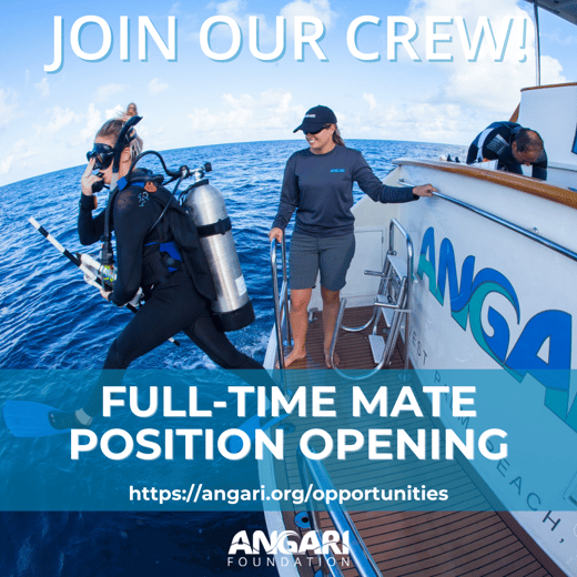 ANGARI Mate Position Opening