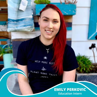 Emily Perkovic New Staff Announcement Image 1_1
