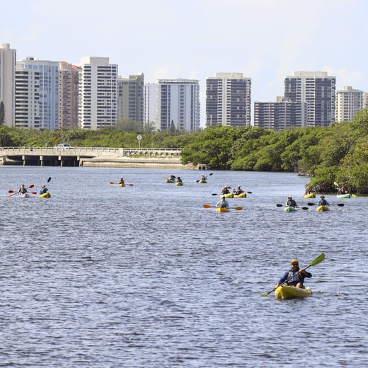 Teachers in kayaks in the Lake Worth Lagoon during the Summer 2025 Educator Workshop.